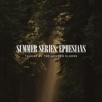 Summer Series 2024